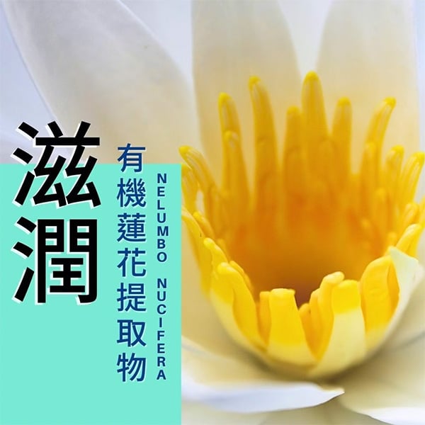 BIO蜂蠟蓮花皮脂修復冷霜 100ml