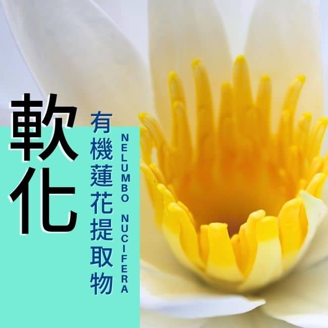 BIO身臉蓮花潔膚露