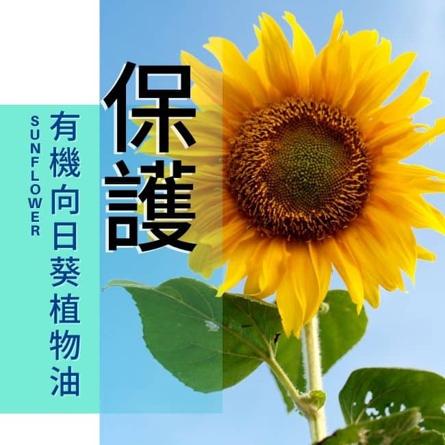 BIO身臉蓮花潔膚露